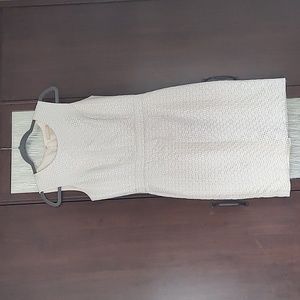 Banana Republic Cream Dress with Silver Metallic Accents
